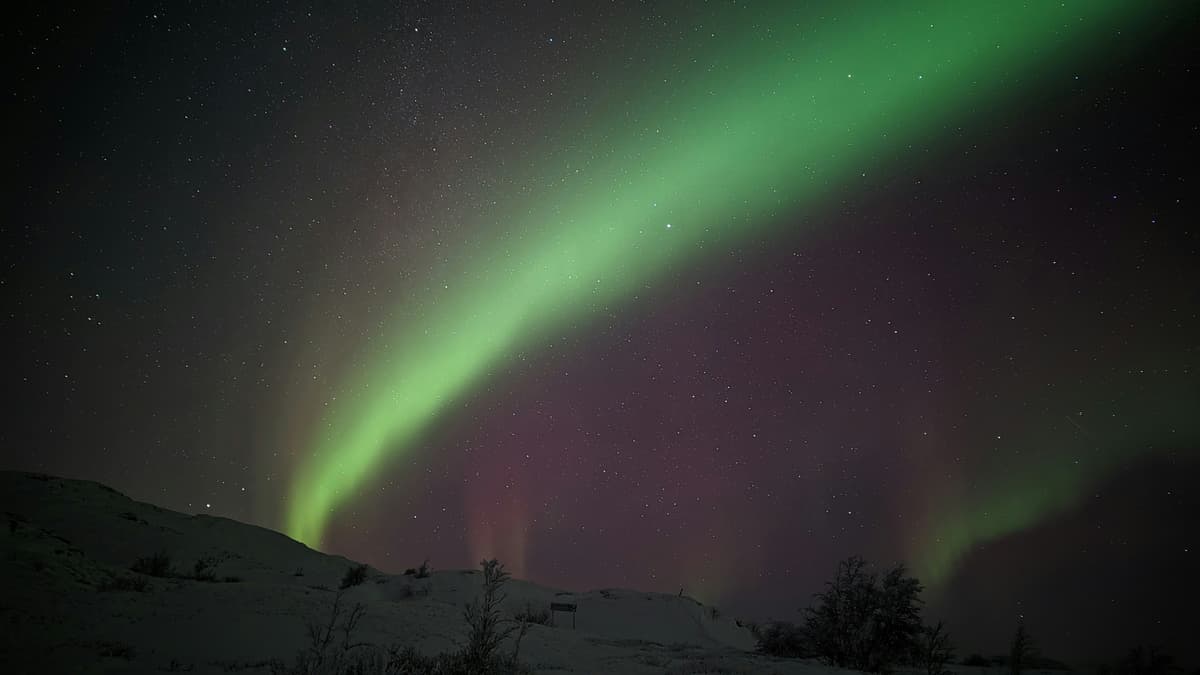 Northern Lights as seen in Björkliden, Northern Sweden - Casper Hildebrand, Unsplash