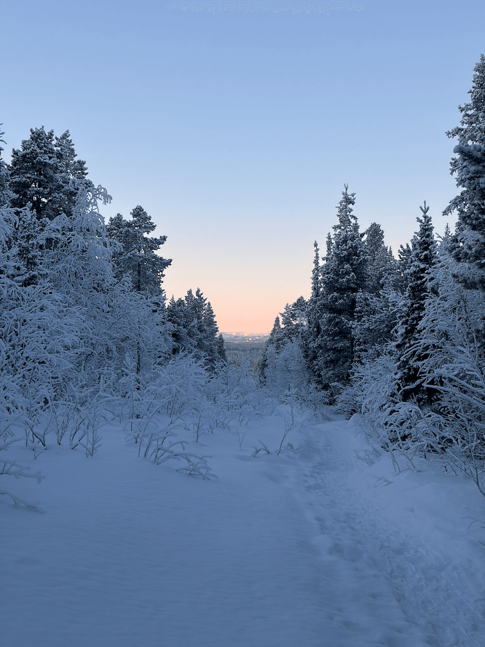 Wilderness in Northern Sweden